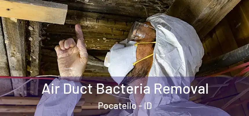  Air Duct Bacteria Removal Pocatello - ID