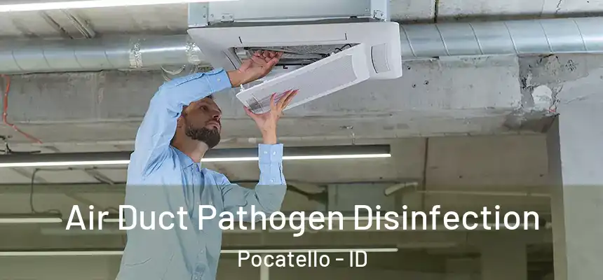  Air Duct Pathogen Disinfection Pocatello - ID