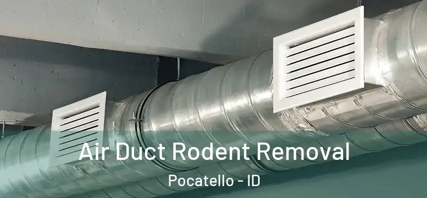  Air Duct Rodent Removal Pocatello - ID