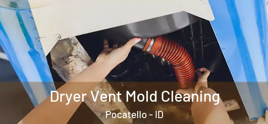  Dryer Vent Mold Cleaning Pocatello - ID