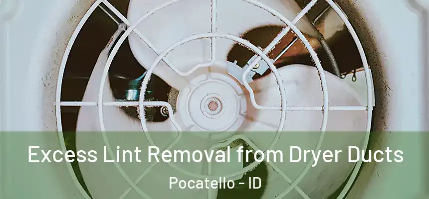  Excess Lint Removal from Dryer Ducts Pocatello - ID