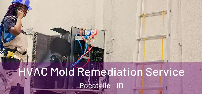  HVAC Mold Remediation Service Pocatello - ID