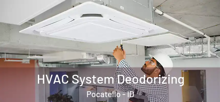  HVAC System Deodorizing Pocatello - ID