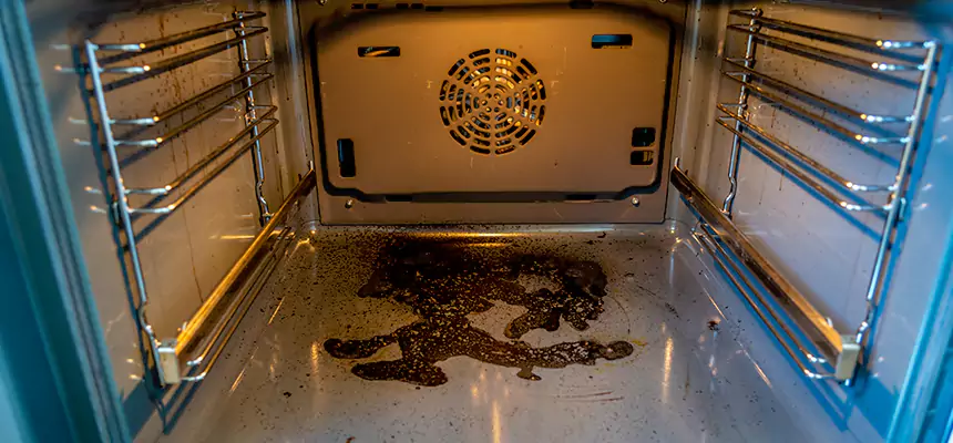 Our Dryer Vent Mold Cleaning Services in Pocatello, ID