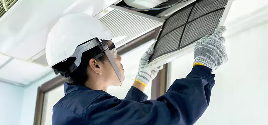 Our Mold & Mildew Removal from Air Ducts Services in Pocatello, ID