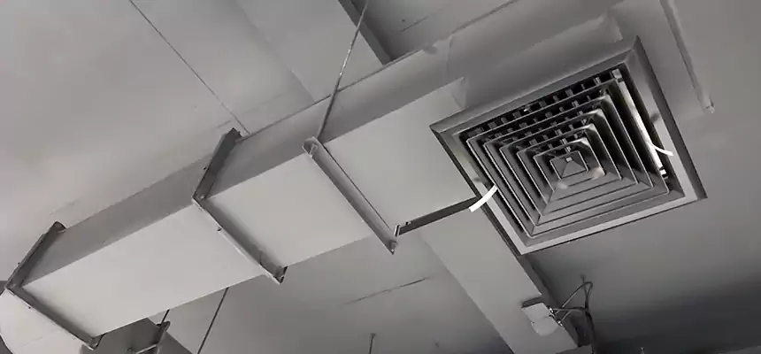 Our Pest Removal From Ducts Services in Pocatello, ID