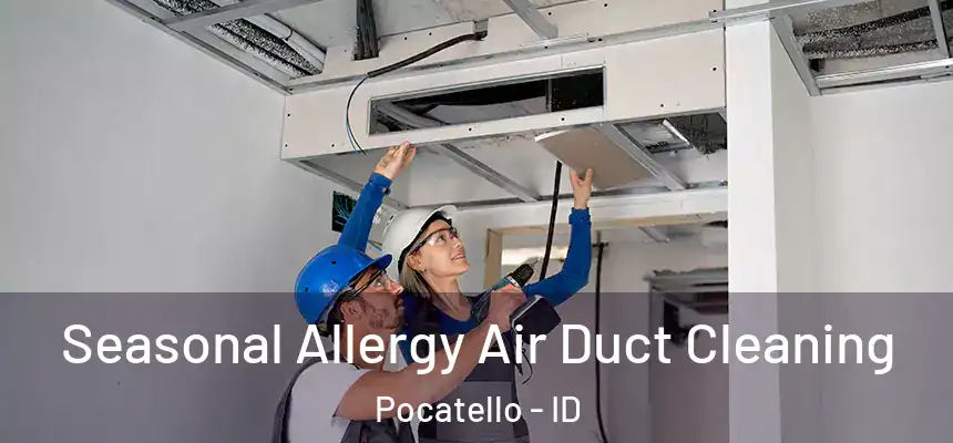  Seasonal Allergy Air Duct Cleaning Pocatello - ID
