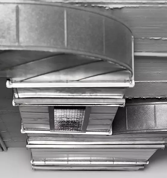 Professional Air Duct Pet Hair Removal in Pocatello, ID